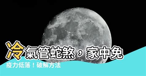 冷氣管蛇煞化解|【室外蛇煞】小心室外蛇煞！風水毒蛇煞危害大，教你。